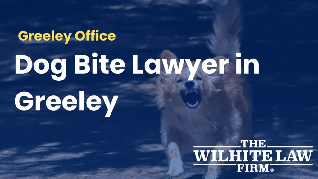 Dog Bite Lawyer in Greeley Image